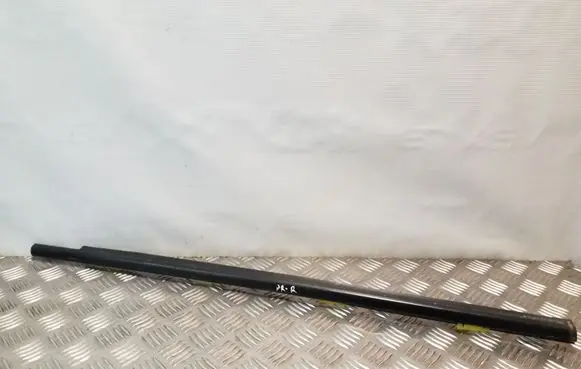 Hyundai Santa Fe Front door glass trim molding