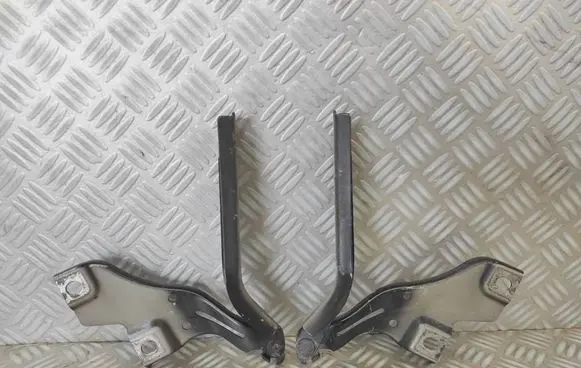 Engine bonnet/hood hinges