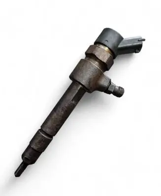 Fiat Punto (188) Fuel injector 0445110119