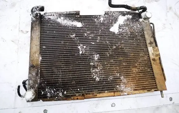 Renault Modus Coolant radiator 