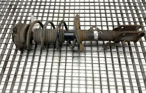 Nissan Juke I F15 Front shock absorber/damper 