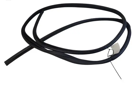Ford Focus C-MAX Front door rubber seal 
