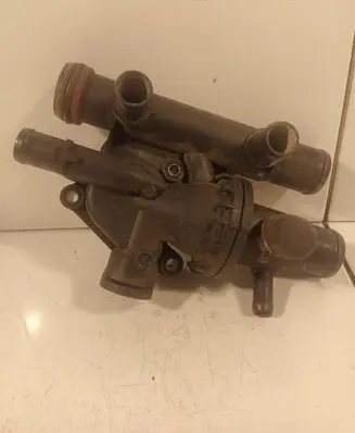 Thermostat/thermostat housing