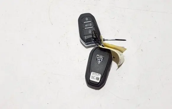 Peugeot 308 Ignition key/card 9842119480