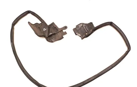 Tesla Model S Front door rubber seal