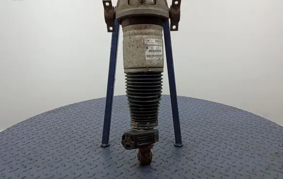 Audi Q7 4L Rear shock absorber/damper 7L8616019A