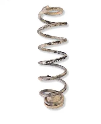 Volkswagen Golf IV Rear coil spring 