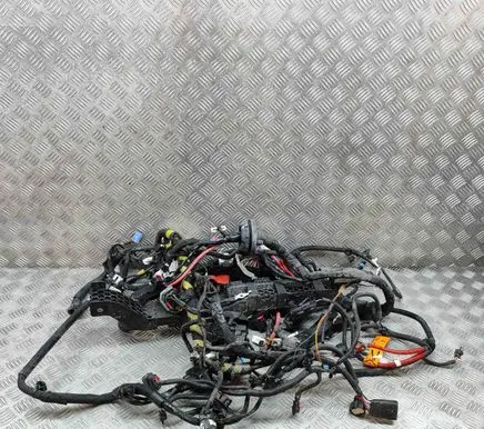 Tesla Model 3 Other wiring loom 256796408B