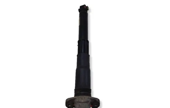 Volkswagen ID.4 Rear shock absorber/damper 1EA512013AS