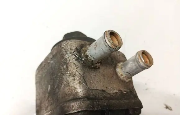 Volkswagen Sharan Engine oil radiator 