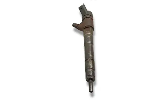 Fiat Ducato Fuel injector 0445110418 504389548