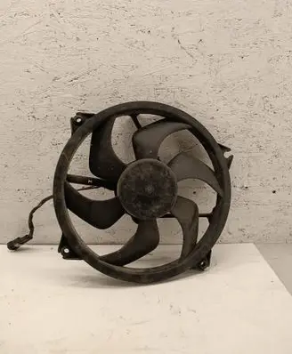 Peugeot 206 CC Electric radiator cooling fan 9653606880