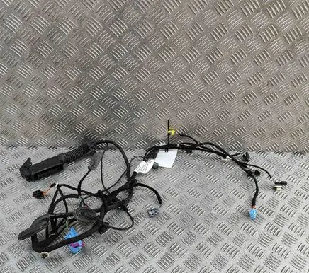 Skoda Enyaq iV Front door wiring loom 5LB971121T