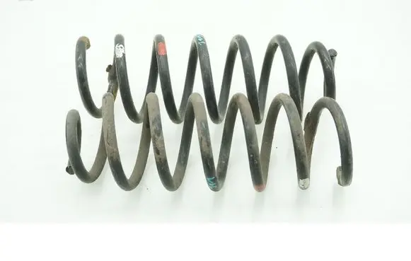 Rear coil spring