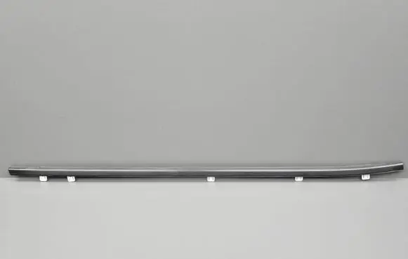 Honda Civic IX Front door glass trim molding 