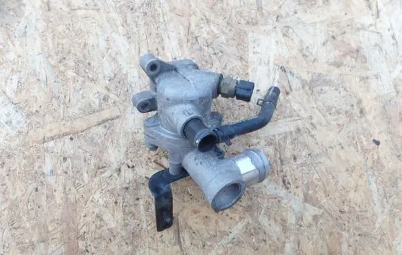 Thermostat/thermostat housing