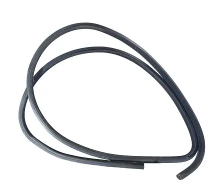 Dodge Charger Front door rubber seal