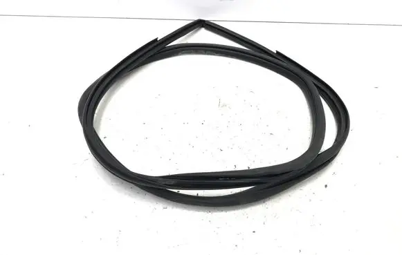 Lexus RZ Rear door rubber seal (on body) 2306TGU31302002