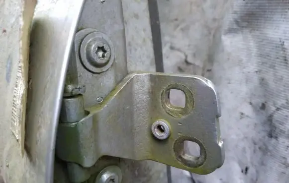 Renault Laguna I Rear door lower hinge
