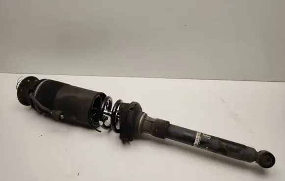 Mercedes-Benz S W220 Rear shock absorber/damper A2203201838