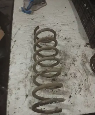 Ford Focus C-MAX Rear coil spring