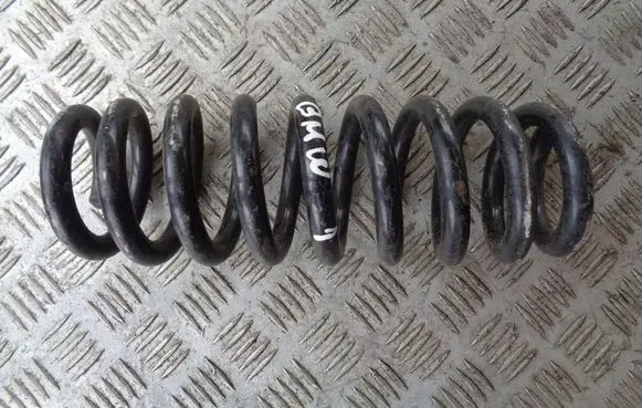 Rear coil spring