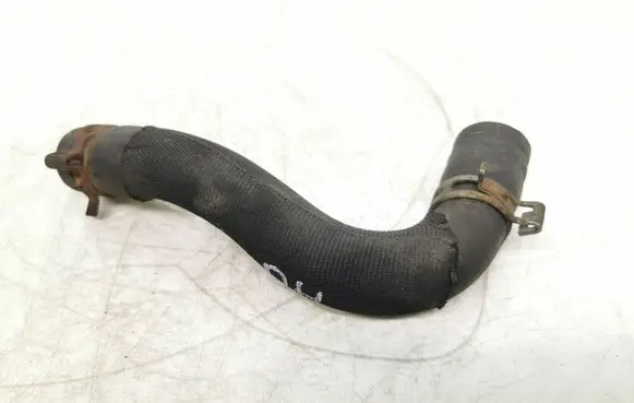 Citroen Berlingo Engine coolant pipe/hose