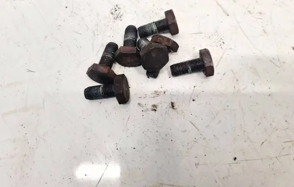 Renault Scenic I Nuts/bolts 