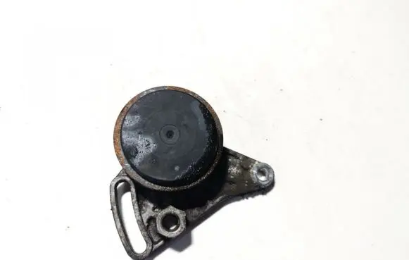Skoda Superb B5 (3U) Generator/alternator belt tensioner 058260511