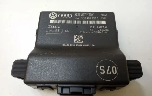 Volkswagen PASSAT B6 Gateway control module 3C0907530C