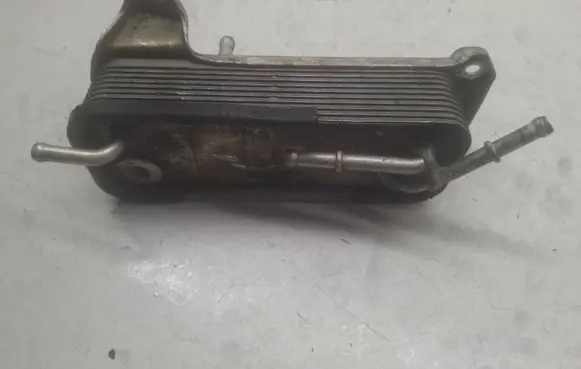 Mercedes-Benz C W203 Fuel cooler (radiator) 6120700079