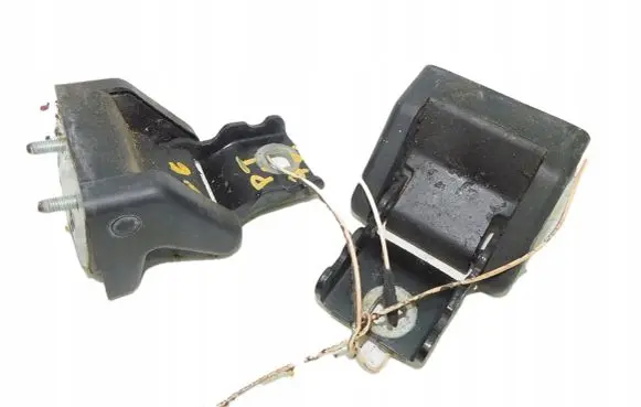 Citroen C6 Rear door hinge set 