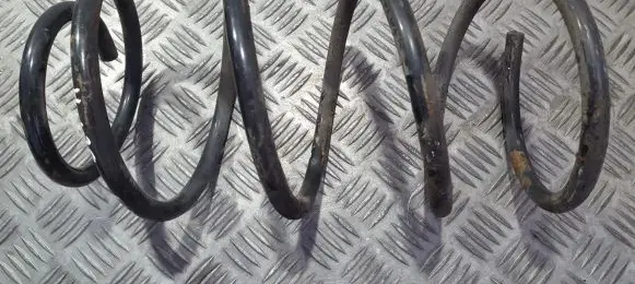Hyundai i20 (PB PBT) Front coil spring