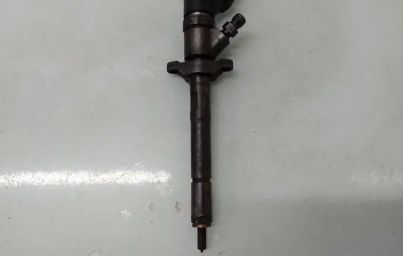 Citroen C5 Fuel injector 0445110188