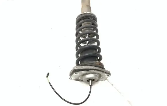 Maserati Quattroporte Rear shock absorber with coil spring 226149