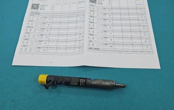 Renault Twingo II Fuel injector EJBR05102D IMPRK1531616