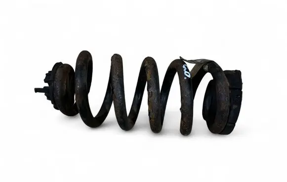 Rear coil spring