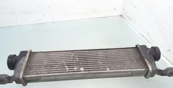 Mercedes-Benz Vaneo W414 Intercooler radiator A1685000000