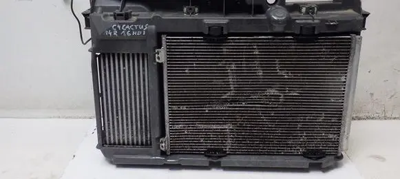 Citroen C4 Cactus Radiator support slam panel 9683562980
