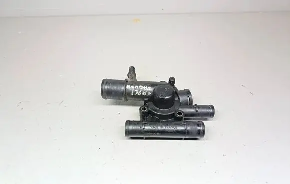 Thermostat/thermostat housing