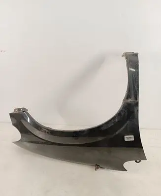 Chrysler Grand Voyager IV Fender NOCODE