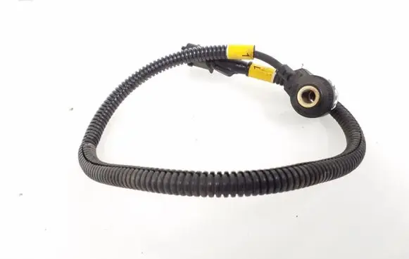 Maserati Quattroporte Detonation knock sensor 0261231212