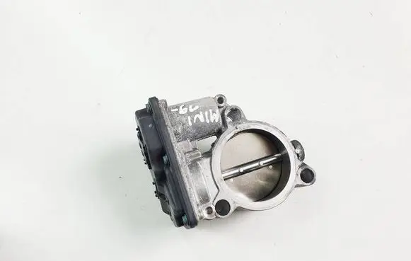 Throttle body valve