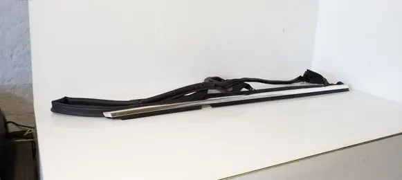 Mercedes-Benz CLS C219 Rubber seal rear door A2197370130