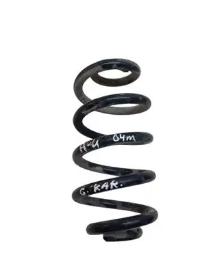Rear coil spring