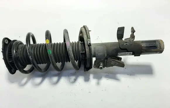 Ford C-MAX II Front shock absorber/damper AV6118K001CBE