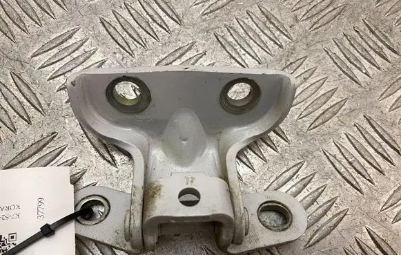 Hyundai Kona I Rear door lower hinge