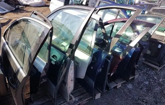 Renault Scenic I Front door MELYNOS