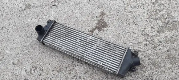 Renault Trafic II (X83) Intercooler radiator 8200411160