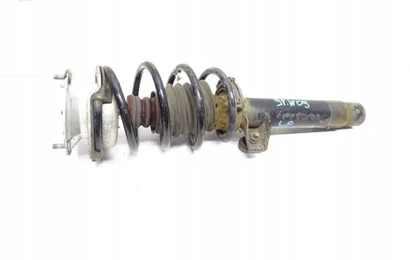 BMW X1 E84 Front shock absorber/damper 6789854